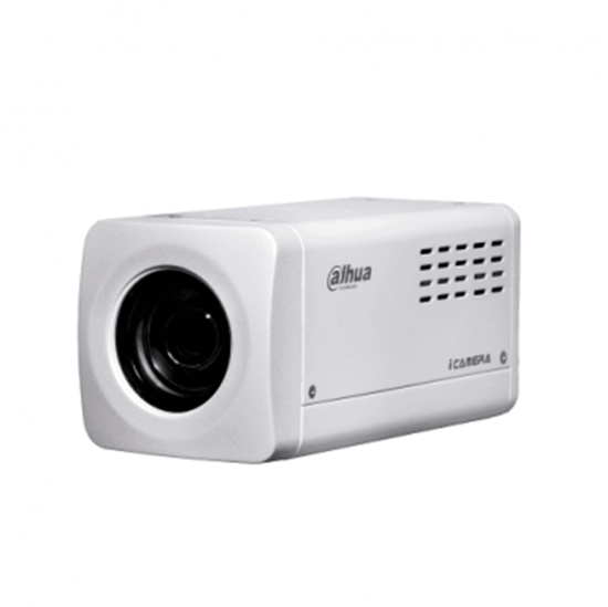 IP видеокамера DH-SDZ2030S-N
